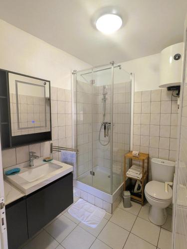 a bathroom with a shower and a sink and a toilet at Oxygène, Havre de paix in Les Anses-dʼArlets