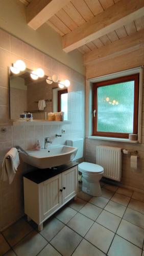 a bathroom with a sink and a toilet at Ferienhaus Dürr23 in Lauterbach