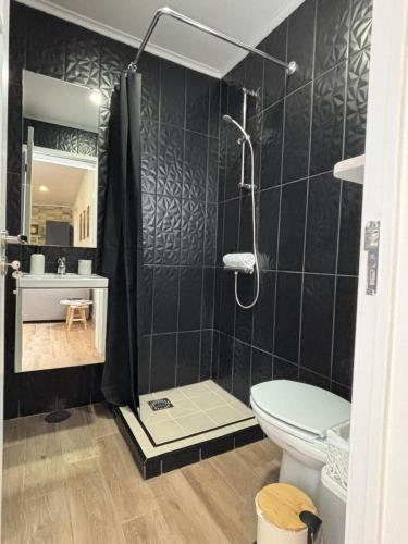 a bathroom with a shower and a toilet at Casa do Aviador in Relva