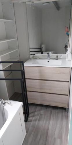 une salle de bain avec un lavabo et un miroir dans l'établissement CHALET SUR TERRAIN PRIVER, à Vias