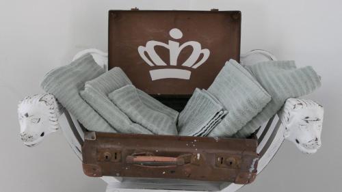 an old suitcase filled with towels and masks at Nonna Rina b&b in Savona