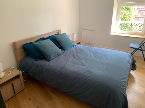 une chambre avec un lit avec des oreillers bleus et une fenêtre dans l'établissement Appartement bien placé, à Hermonville