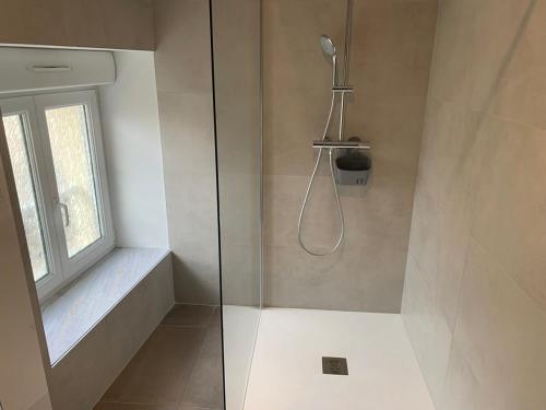 une salle de bain avec une douche avec une porte vitrée dans l'établissement Appartement bien placé, à Hermonville