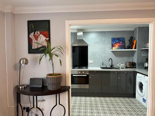 a kitchen with a sink and a table with a plant at Private Main Door Lovely 2 bedroom apartment in Edinburgh