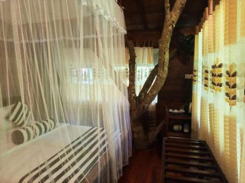 Φωτογραφία από το άλμπουμ του Eco Village σε Ella
