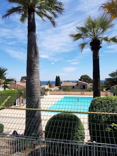 une piscine avec des palmiers et une clôture dans l'établissement Une résidence au calme à 600 m des plages de La Ciotat, à La Ciotat