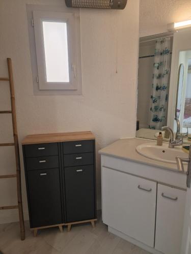 une salle de bain avec un lavabo, un miroir et un comptoir dans l'établissement Cocon canetois, à Canet