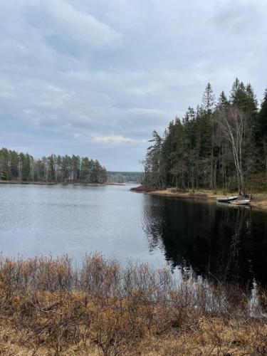 a view of a lake with trees on the shore at Cozy Apartment in Grimsås