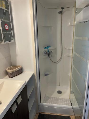 a shower with a glass door in a bathroom at MOBIL HOME 200m de la mer in Hyères