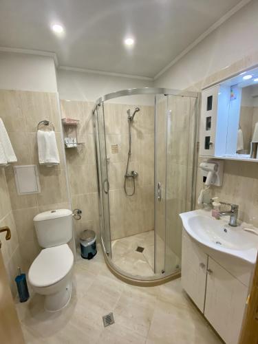 a bathroom with a shower and a toilet and a sink at Апартамент и Студио Перелик in Chepelare