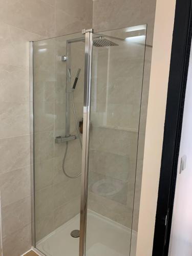 une douche avec une porte vitrée dans une salle de bain dans l'établissement Appt Place Gramont, à Pau