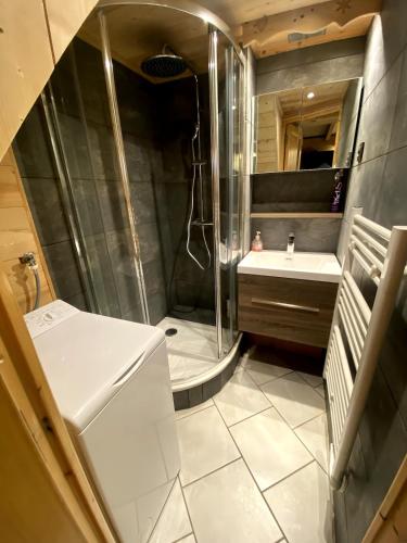 une salle de bain avec douche et lavabo dans l'établissement Manigod, en route pour les vacances !, à Manigod