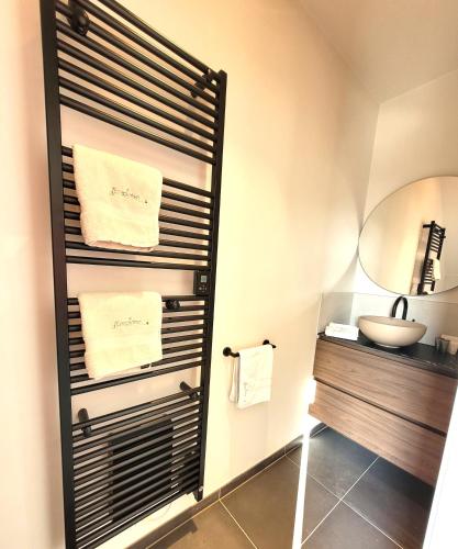 a bathroom with a sink and a mirror at d'Ereplatse in Zuienkerke