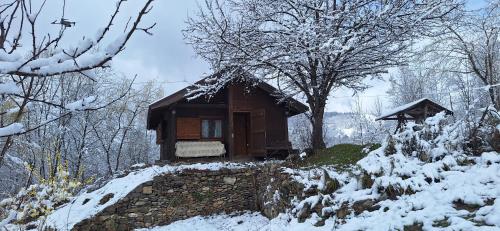 a small cabin in the snow on a hill at Cabana Plaiul Bucovinei in Câmpulung Moldovenesc
