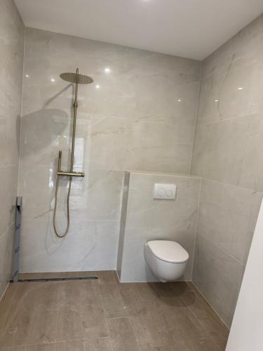 une salle de bain avec douche et toilettes dans l'établissement Villa beat, à Kappelen