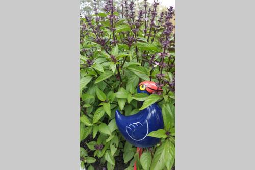a garden with a bird in a bush with purple flowers at Kerikeri Blue Chair B&B in Kerikeri