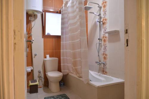 Koupelna v ubytování Charming 3-Bedroom Apartment in Alexandria with City View