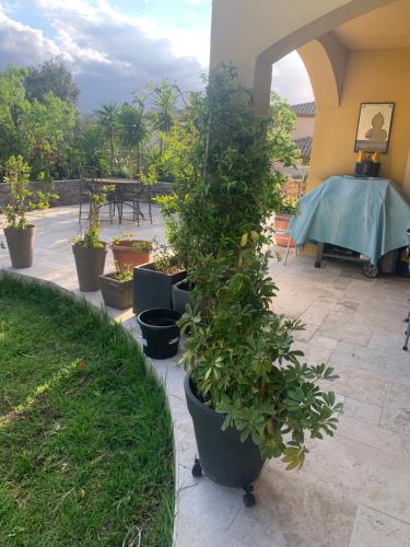 Photo de la galerie de l'établissement Chambres de la Terre Blanche, à Sanary-sur-Mer