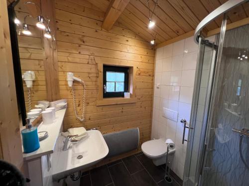 ein Badezimmer mit Toilette, Waschbecken und Dusche in der Unterkunft Pension Bernhardt in Schwarzenberg/Erzgebirge