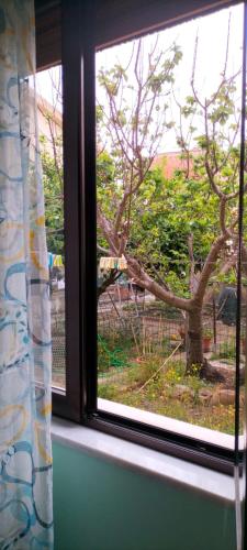Zahrada ubytování Casa Vacanze al muro di cinta Carloforte