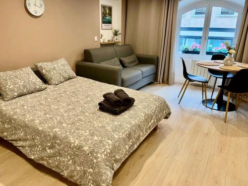a bedroom with a bed and a couch and a table at Allée Royale in Annecy