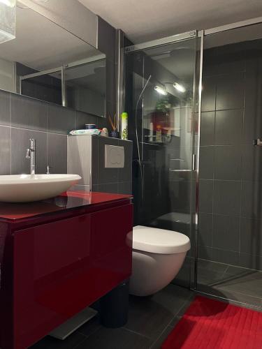 une salle de bain avec toilettes, lavabo et douche dans l'établissement Maison - piscine - clim - wifi - vue lac - 4 pers, à Fitou