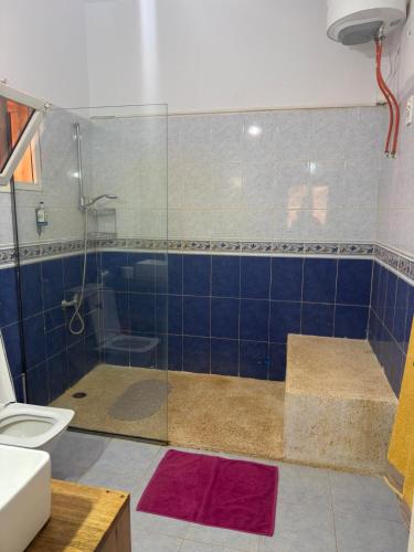 a bathroom with a shower and a toilet at Havre De Paix in Somone