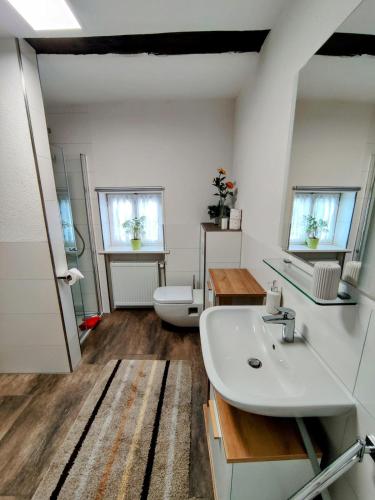 un bagno con lavandino e WC di Ferienwohnung Pastoriushaus a Bad Windsheim