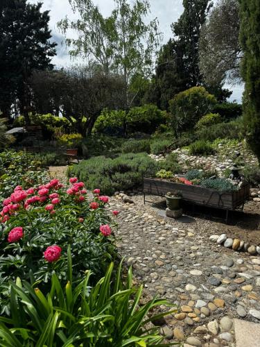 Taman di luar Mas Saint Antoine