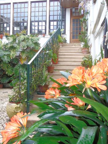 Κήπος έξω από το União - Guest House