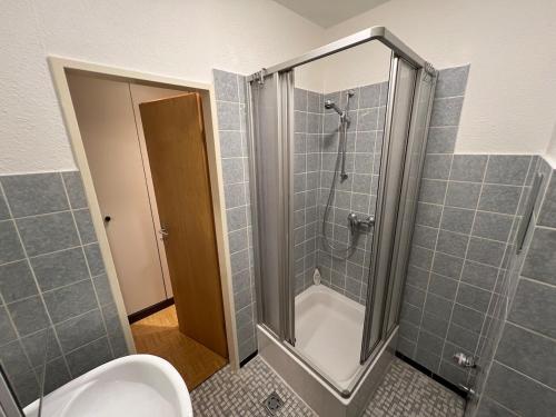 a bathroom with a shower and a toilet at Renovated apartment with Wi-Fi in Walkenried