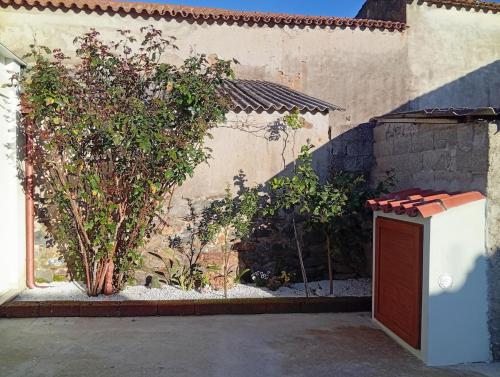 an outdoor area with trees and a building at Diongard House in San Vito