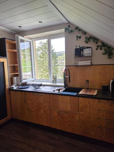 Dapur atau dapur kecil di Ferienwohnung Rosi