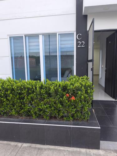 a bush in front of a building at Casa Flandes Tolima Amplia Totalmente Equipada in Flandes