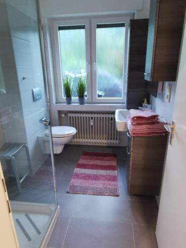a bathroom with a toilet and a sink and two windows at Hennetraum in Meschede