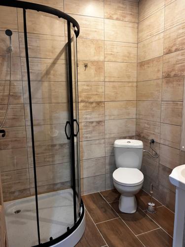 a bathroom with a toilet and a shower at TARNICA in Dwernik