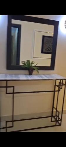 - un comptoir de salle de bains avec un miroir et une plante en pot dans l'établissement شقة فندقية للايجار اليومي, au Caire