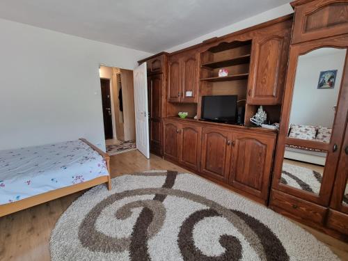 ein Wohnzimmer mit einem Bett und einem Fernseher und Holzschränken in der Unterkunft Garsoniera Emilia in Câmpulung Moldovenesc