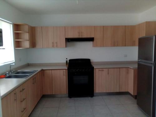 a kitchen with wooden cabinets and a black dishwasher at T-MEX PARK HOSPEDAJE Empresas in San Sebastián