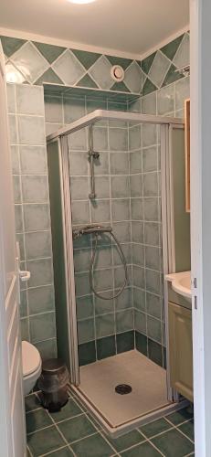 La salle de bains est pourvue de carrelage vert, d'une douche et de toilettes. dans l'établissement Villa LE BELVEDERE superbe vue mer, à Saint-Raphaël