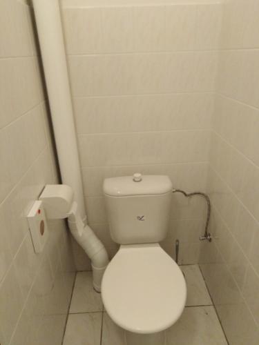 a bathroom with a toilet and a roll of toilet paper at Chata Pod Kapličkou in Rajnochovice