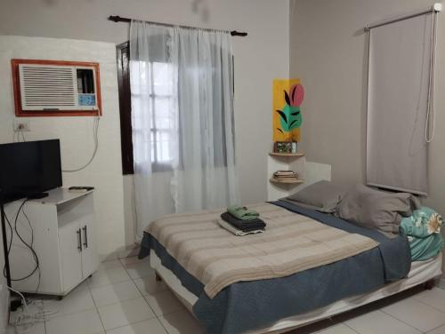 a bedroom with a bed and a television in it at Alojamiento Pichinchas in Paso de los Libres