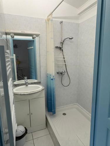 une salle de bain avec douche et lavabo dans l'établissement Studio tout confort, à La Crau