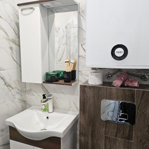 a bathroom with a white sink and a mirror at Boutique apartment green 2 in Plovdiv