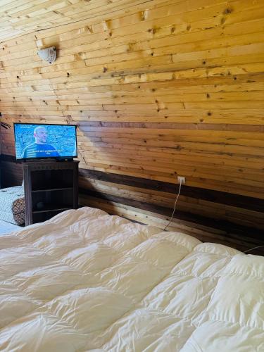 Gallery image of Holiday Home Green Queen in Podgorica