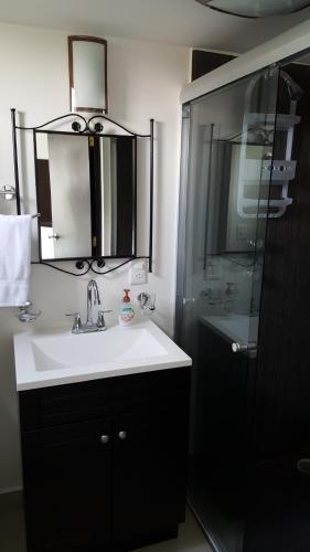a bathroom with a sink and a shower and a mirror at Grupo Kings Suites - Bosque de Duraznos 72 in Mexico City