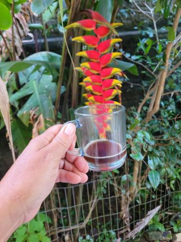 Tatiane cristinoにある庭