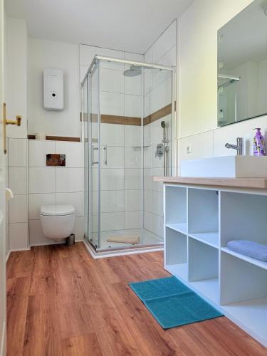 a bathroom with a glass shower and a toilet at Villa Rheinblick 1 OG in Kamp-Bornhofen
