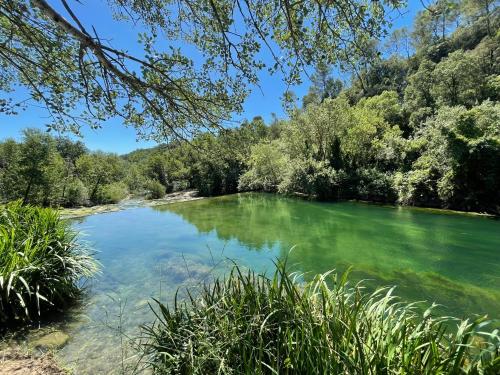 une rivière avec de l'eau verte et des arbres en arrière-plan dans l'établissement Le clos Gaya, à Correns
