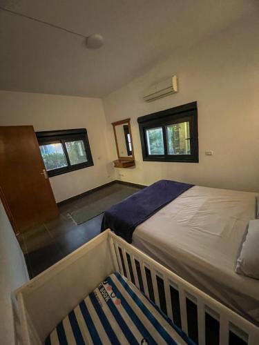 a bedroom with a bed and two windows at American Villa Dahab in Dahab